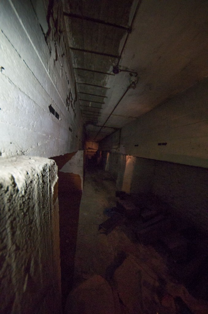 Ein geheimnisvoller Fund erwartet uns im Keller des Yaams