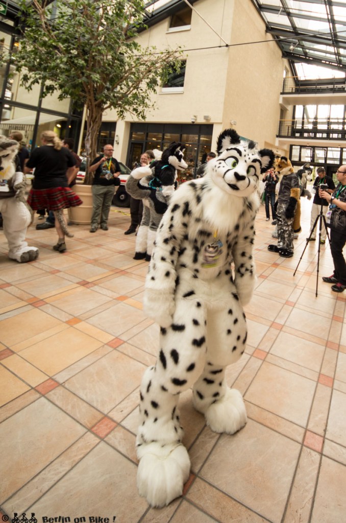 a dog standing on the floor in front of a building
