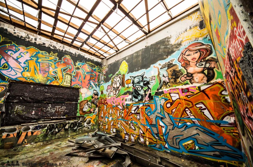 Graffiti im Landschaftspark Herzberge