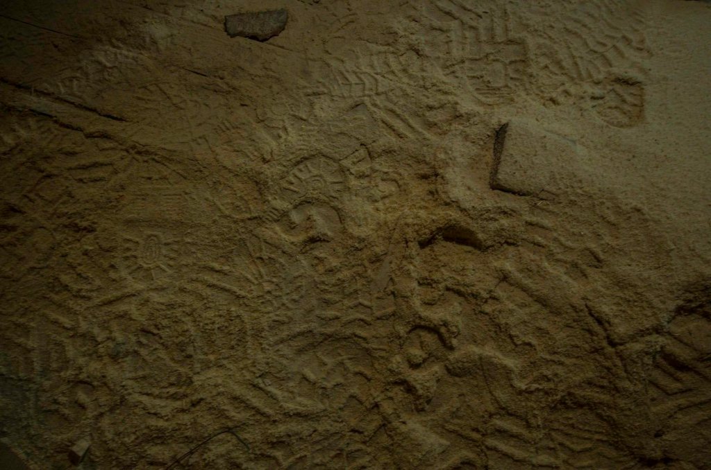 sanierung-staatsoper-baustellenfuehrung-4989