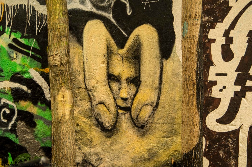 street-art-berlin-haus-schwarzenberg-2015-9153