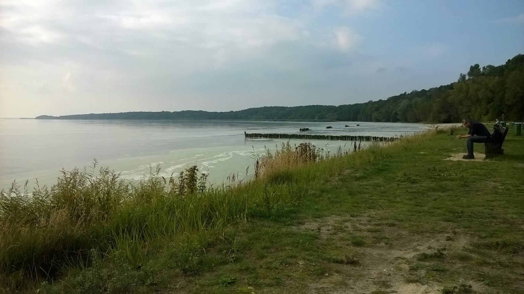 a body of water