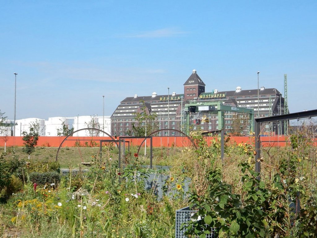 Blick vom ZKU (Zentrum für Kunst und Urbanistik) zum Behala-Speicher am Westhafen.