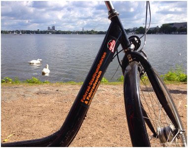 Außenalster Fahrradtour Hamburg City Cycles