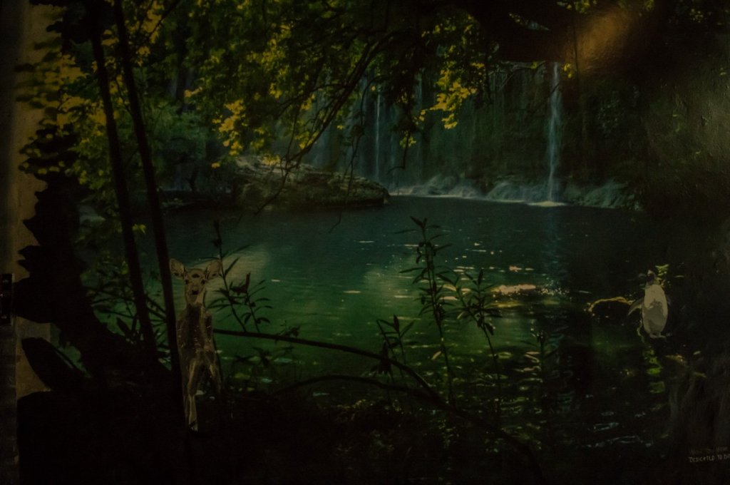 streetart-berlin-haus-schwarzenberg05