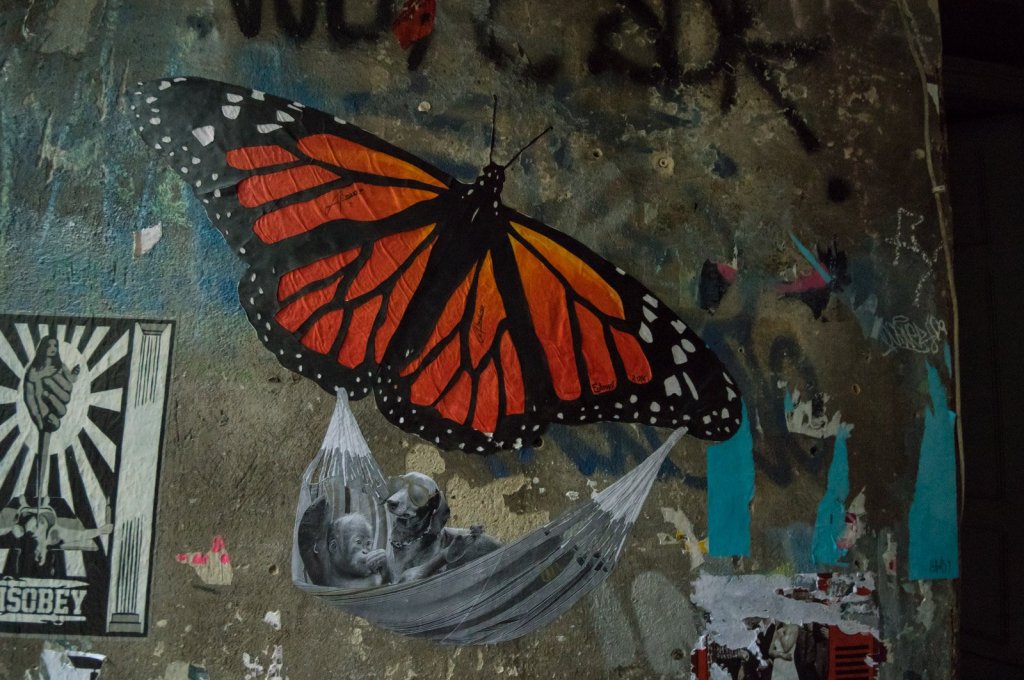 streetart-berlin-haus-schwarzenberg08