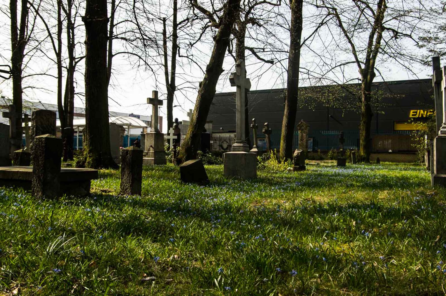 Grabsteinen zwischen Blumen auf dem russisch-orthodoxen Friedhof in Berlin-Tegel.