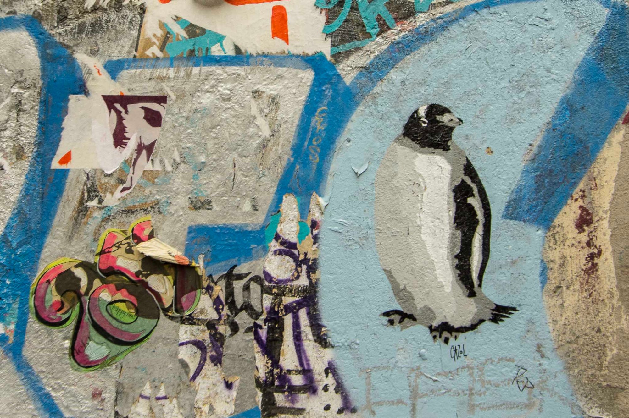 streetart-berlin-haus-schwarzenberg-casol-4660 Paste-up pinguin Haus Schwarzenberg
