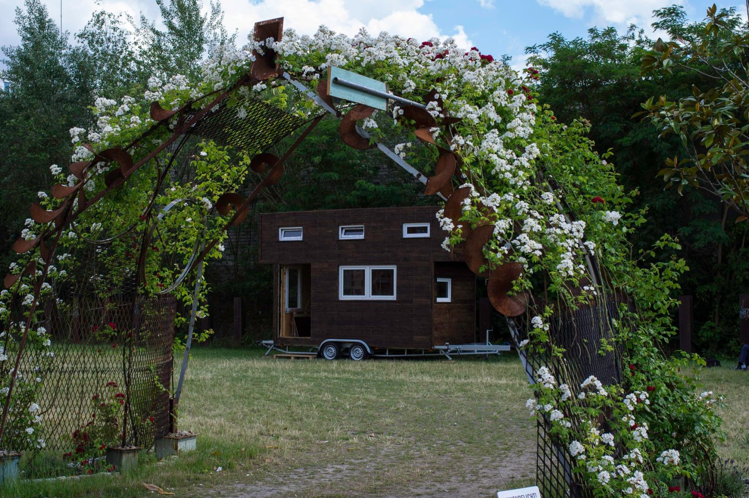 a house with bushes in front of a building