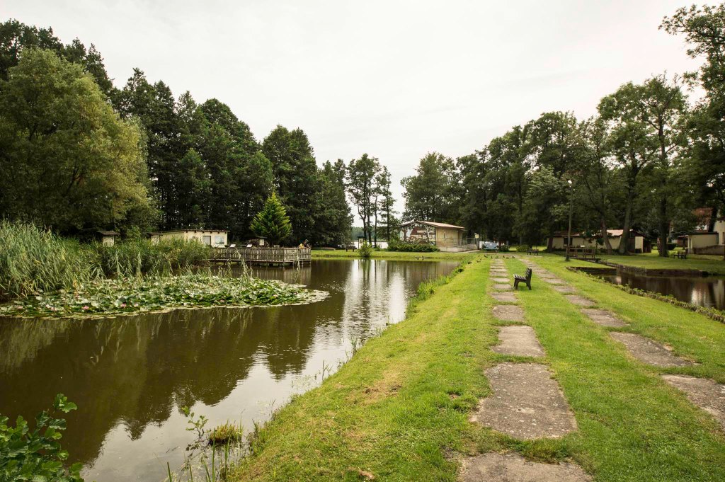 Fahrradtour durch Brandenburg: Fischteich mit Seerosen,