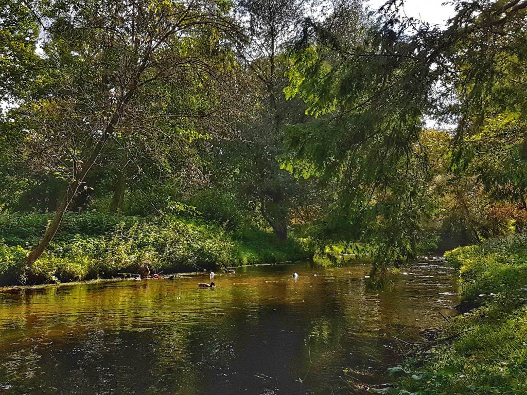 Panke im Bürgerpark