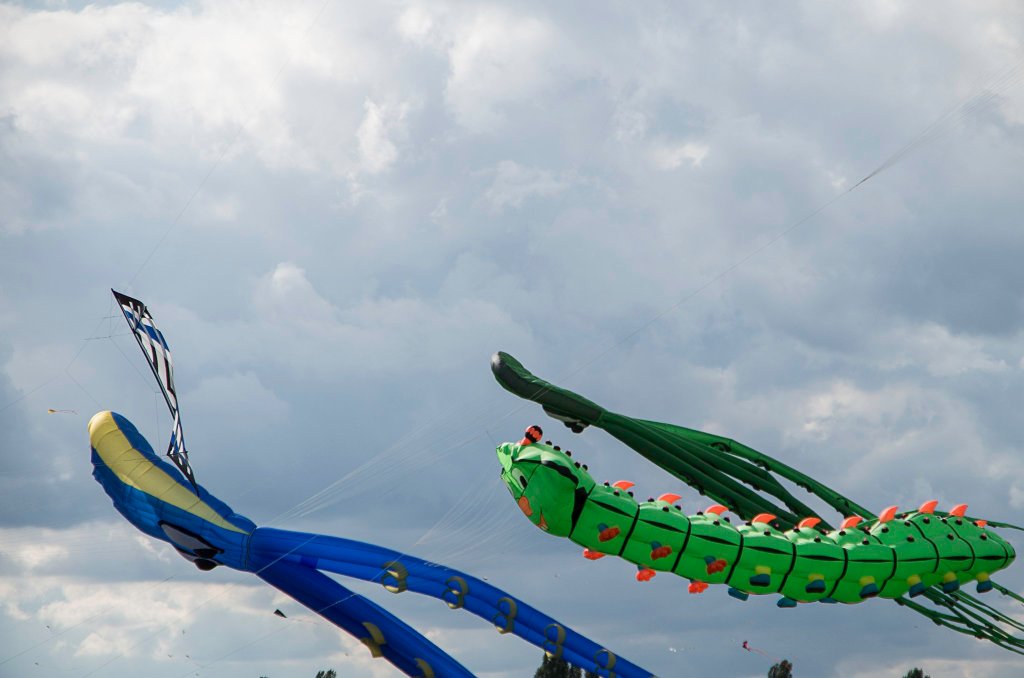 Raupe und Kraken