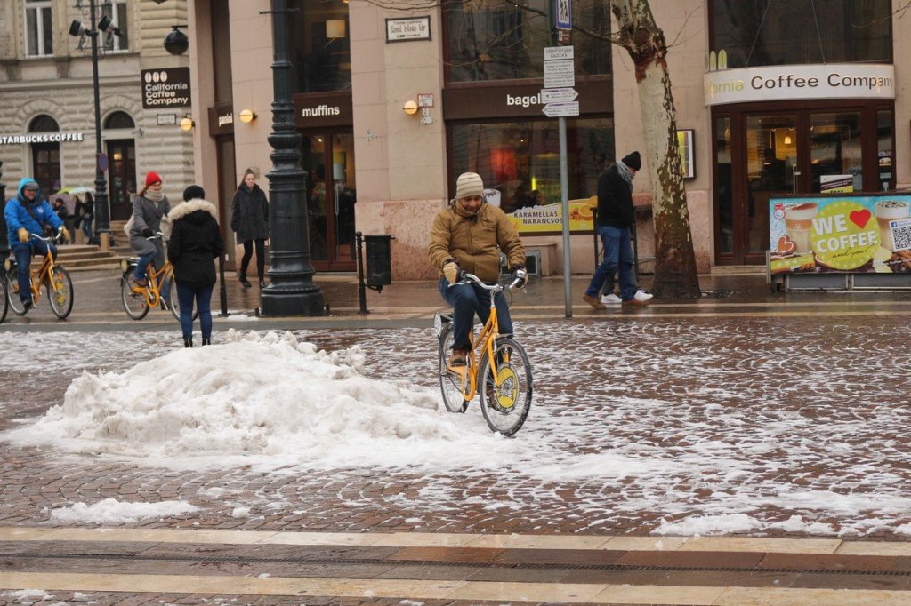 a group of people riding horses on a city street