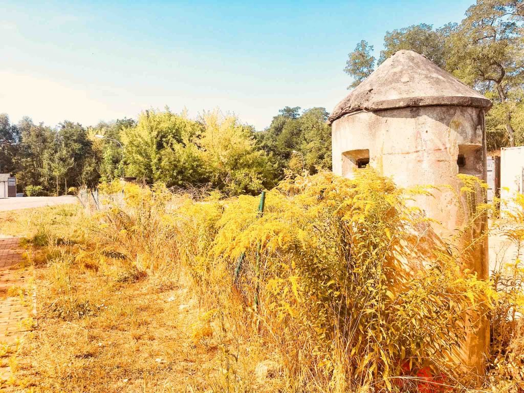 brandenburg-radtour-teltow-flaeming-0365