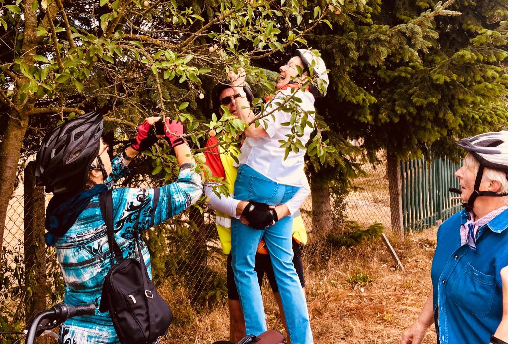 Mundraub am Wegesrand