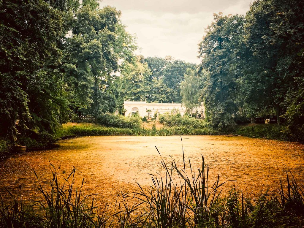 a body of water with trees in the background