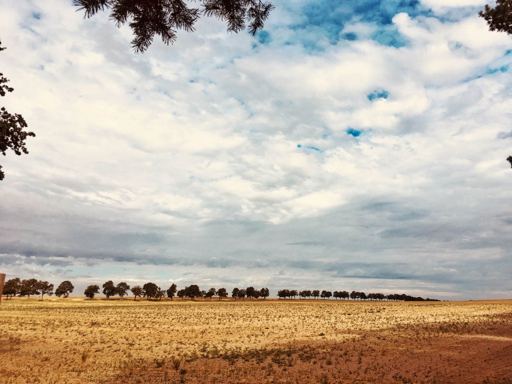 brandenburg-radtour-teltow-flaeming-8747