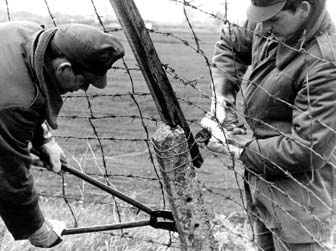 ungarn89 Ungarn baut den Grenzzaun zu Österreich ab