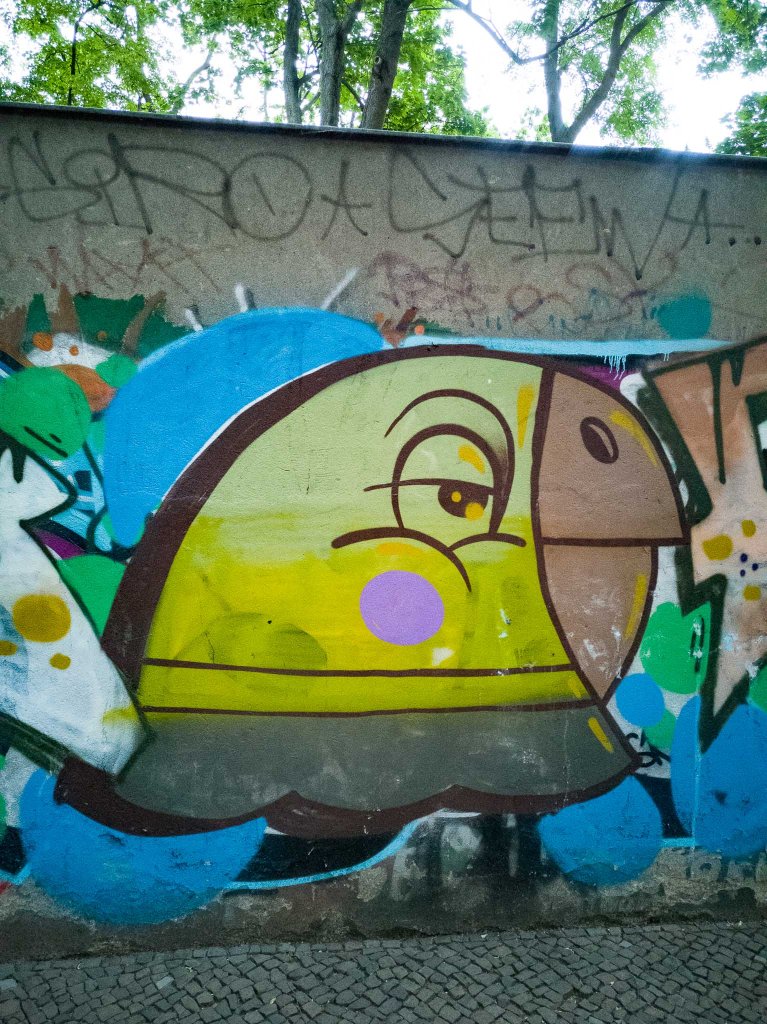 Graffiti of a parrott