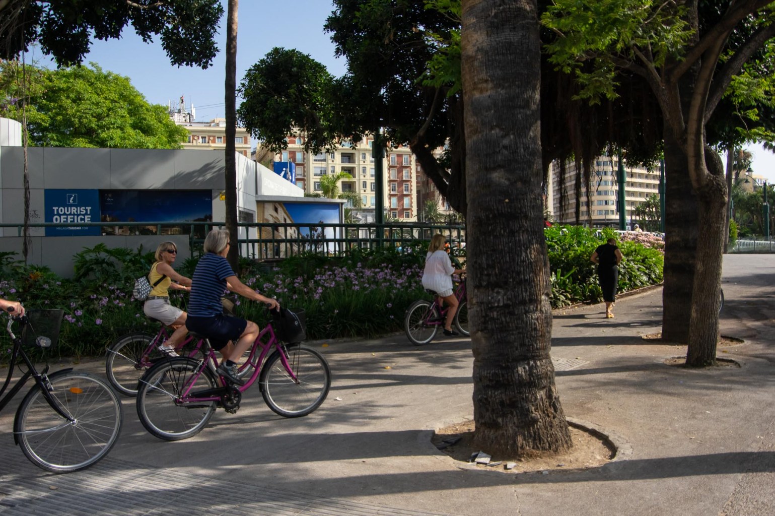 On the way to our first stop on the Malaga City Bike tour.