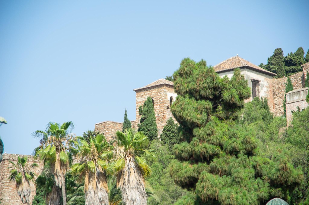 a giraffe standing in front of a house