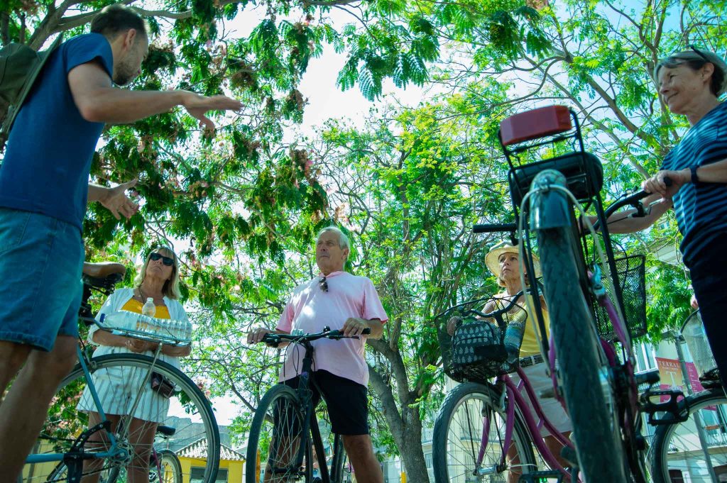 On a bike tour in Malaga it's a good idea to look for some shade.