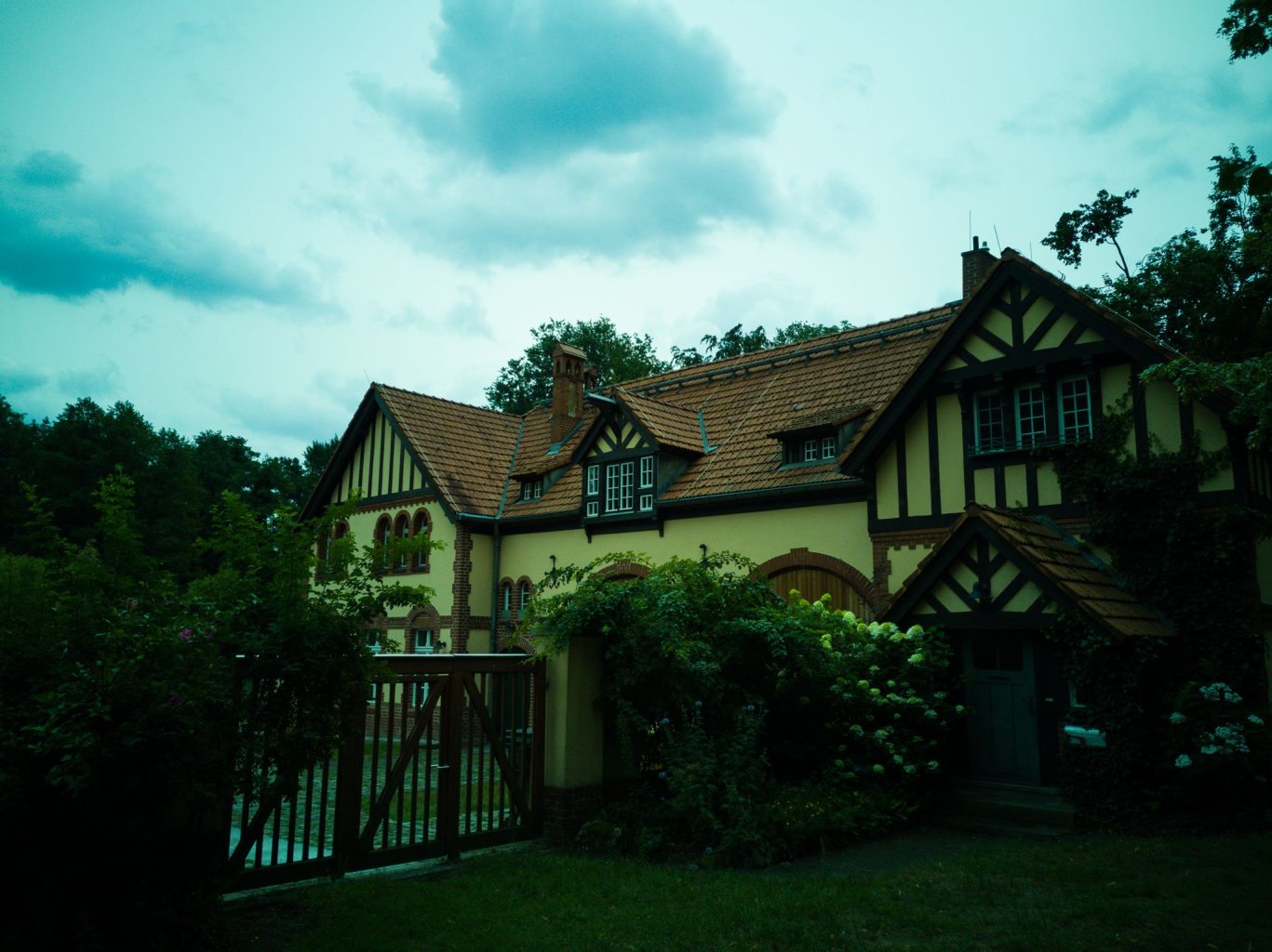 a tree in front of a house