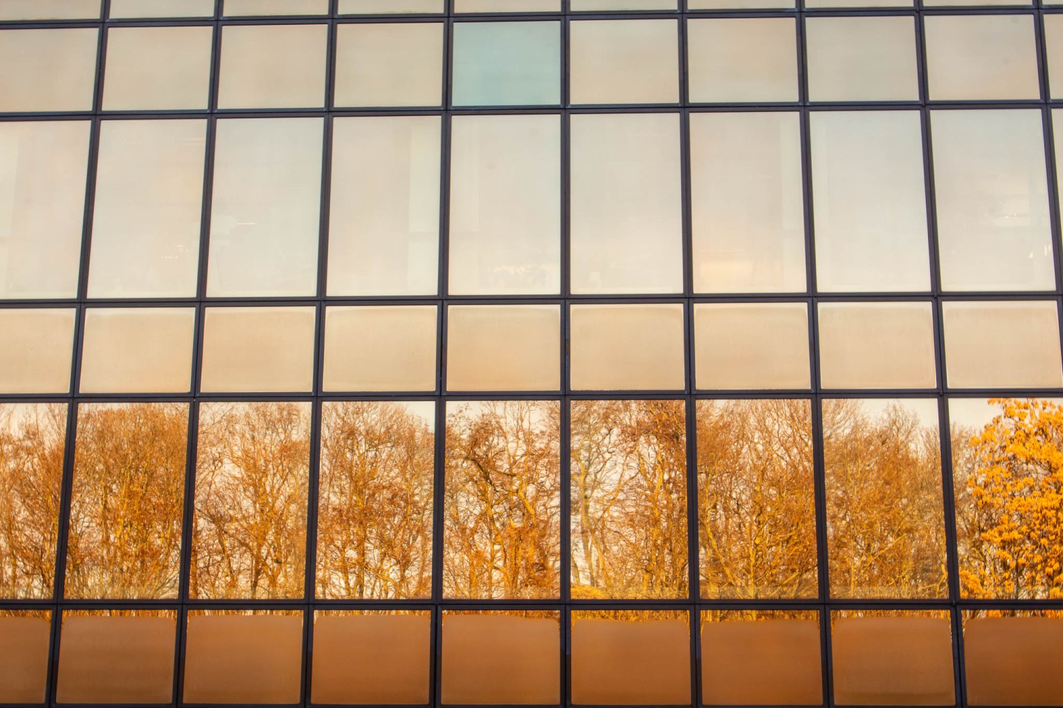 a screen shot of a building