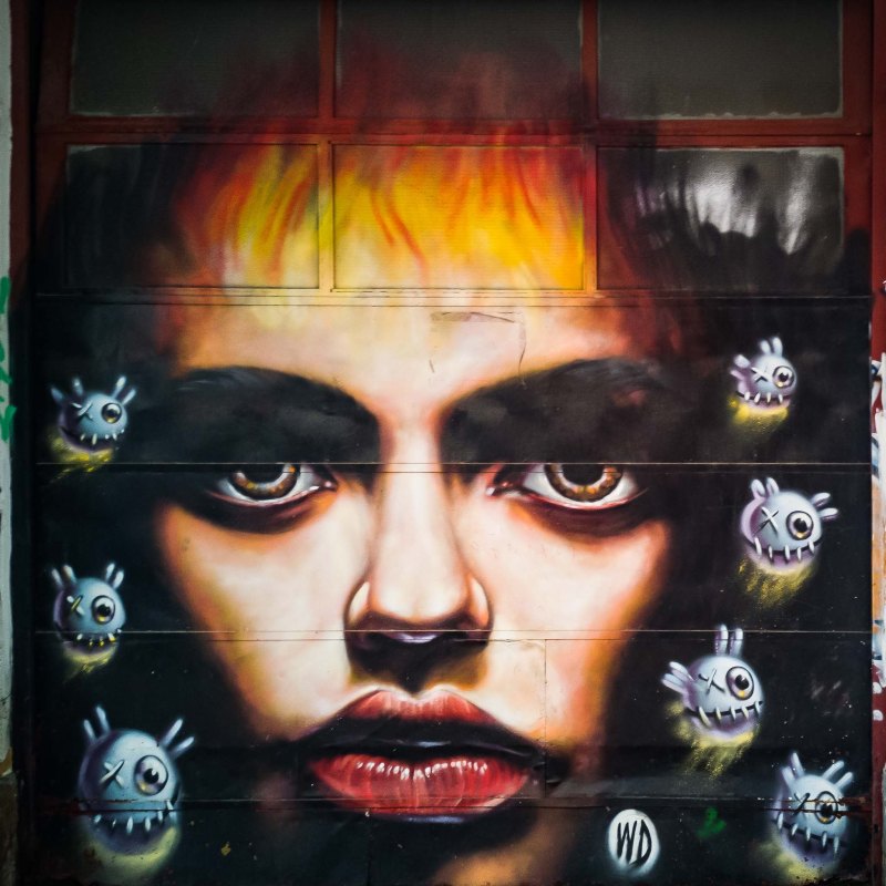 a person looking at the camera