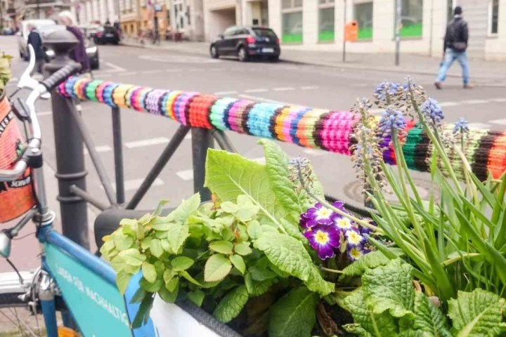 a close up of a flower