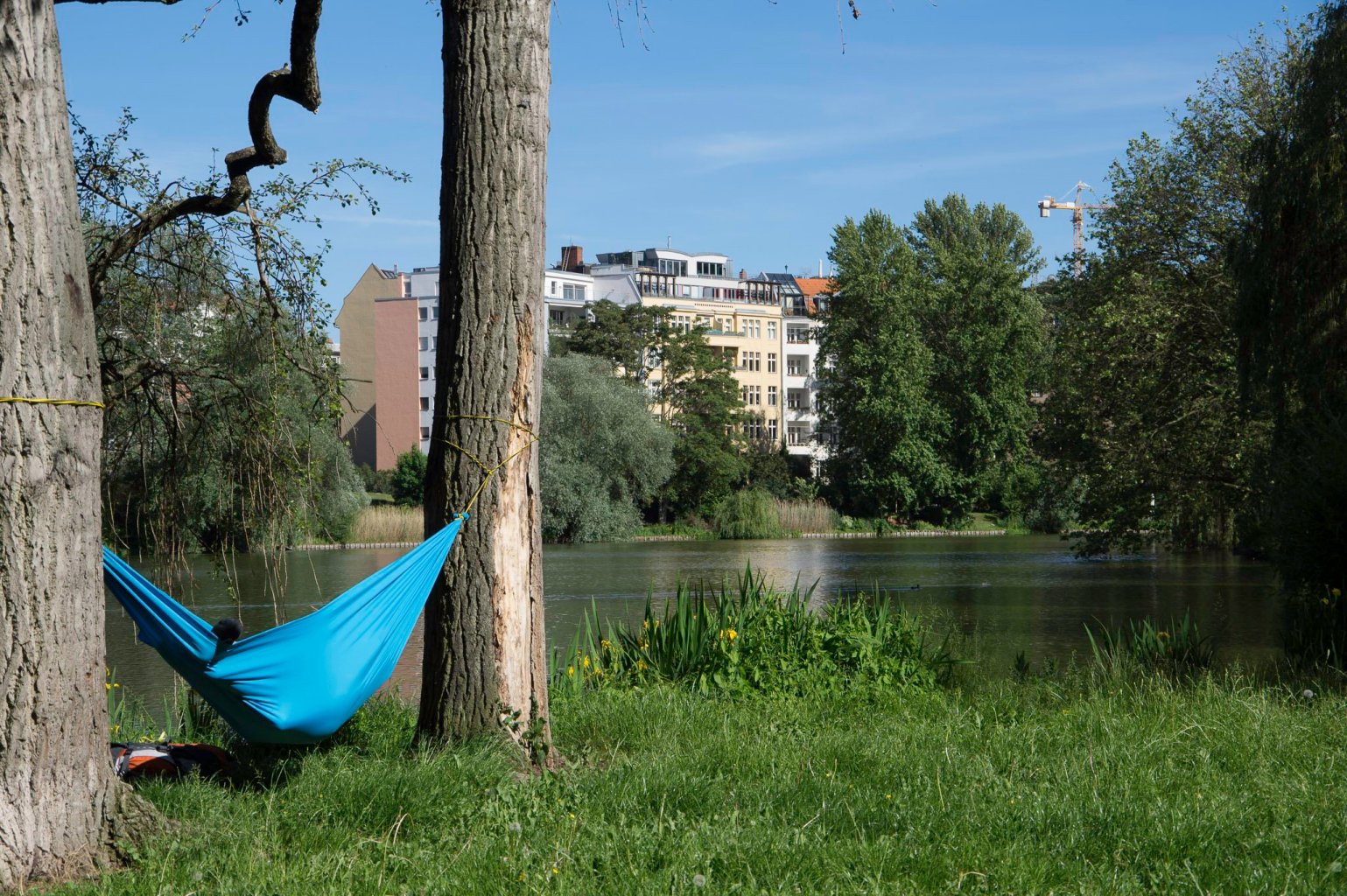 hängematte zwischen zwei Bäumen am Berliner Lietzensee in Charlottenburg