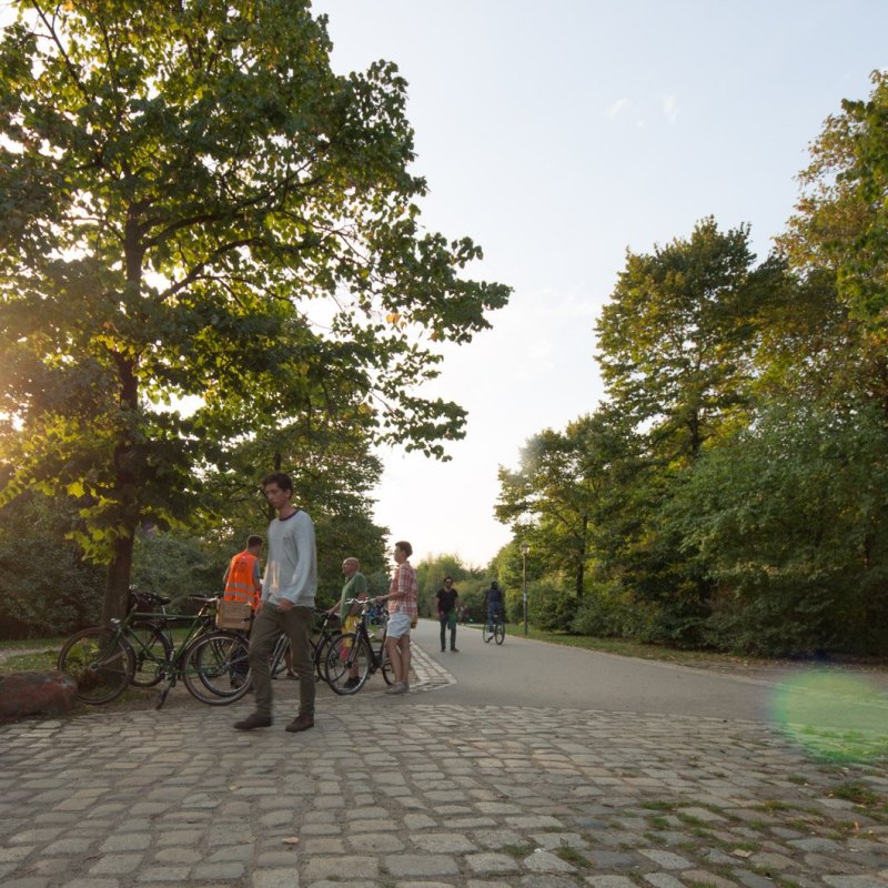 a group of people walking down a street next to a tree