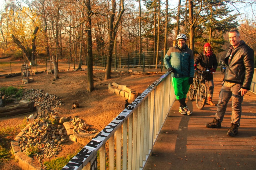 Wir statten auch den Ziegen im Bürgerpark Pankow einen Besuch ab und erfahren viel über die Geschichte des Parks.