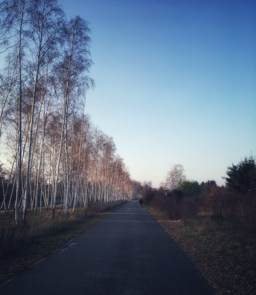 Schöne Strecke am Mauerweg in Schönholz