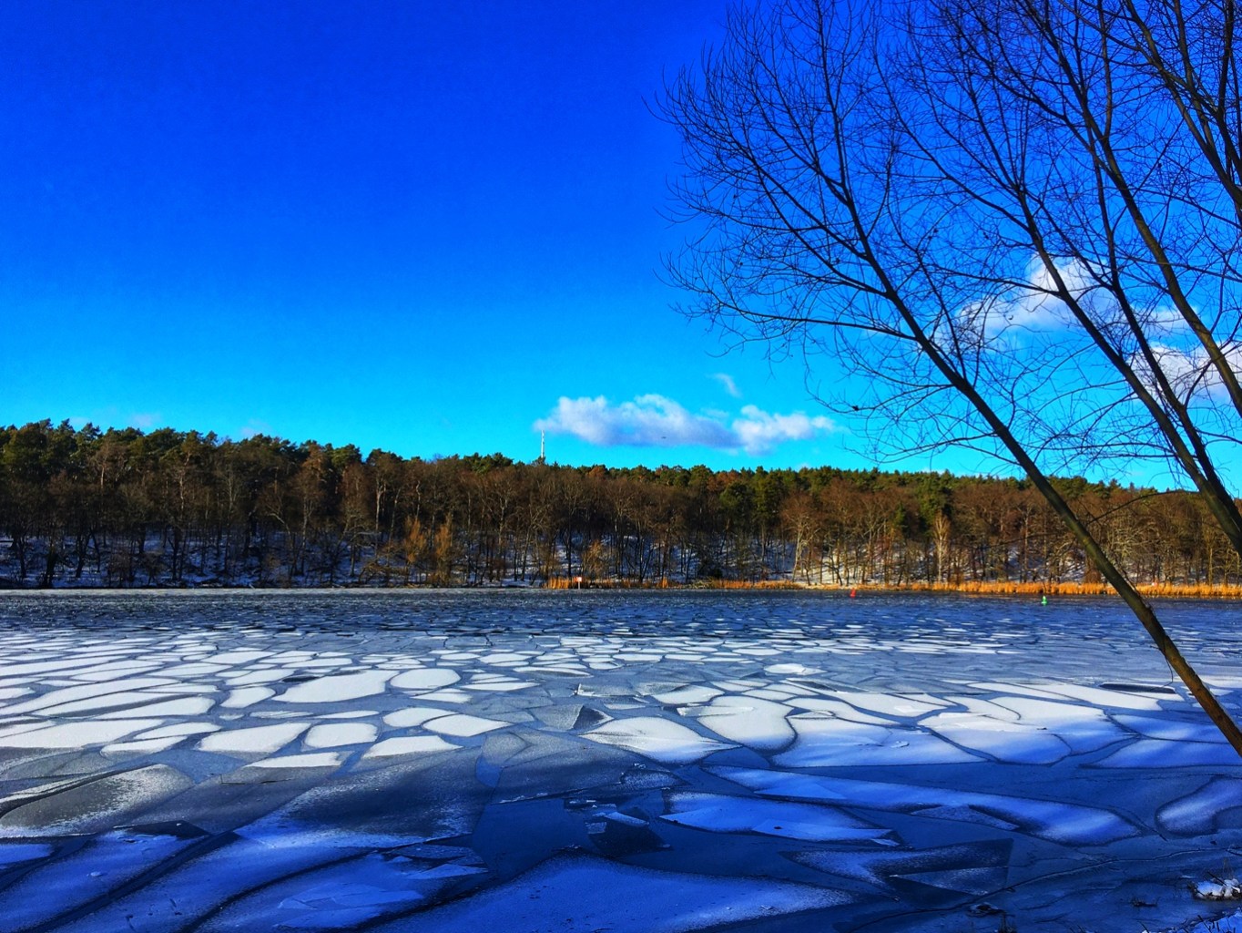 Griebnitzsee