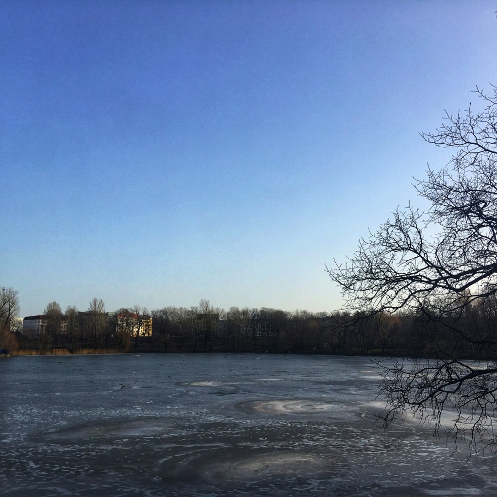 Blick über den winterlichen Weißen See