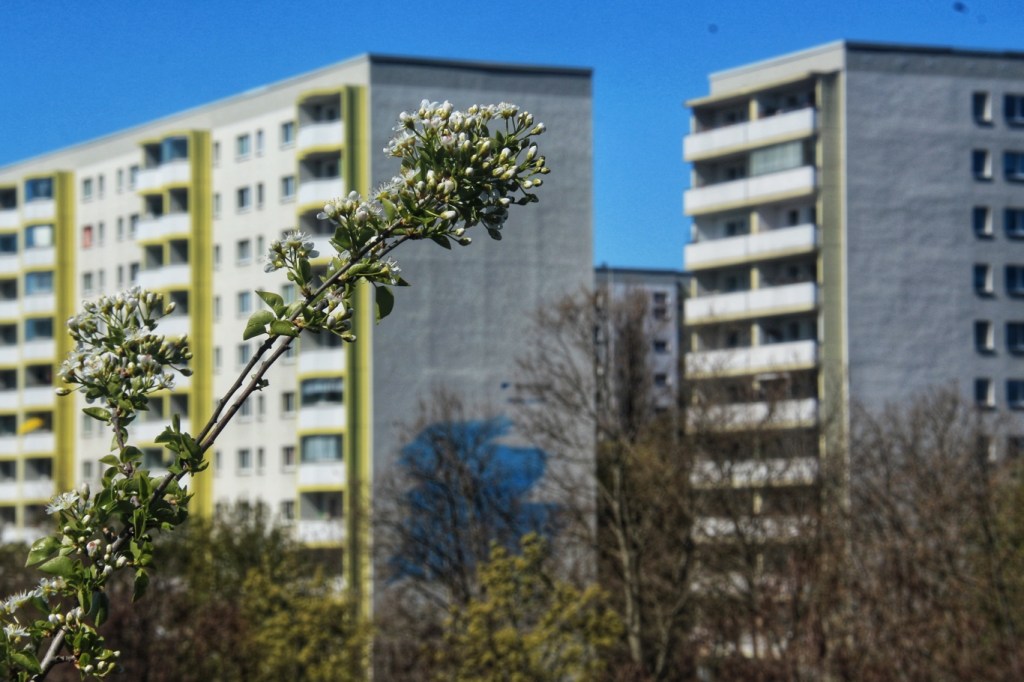 Hochhäuser im Frühling im Ostsee-Viertel