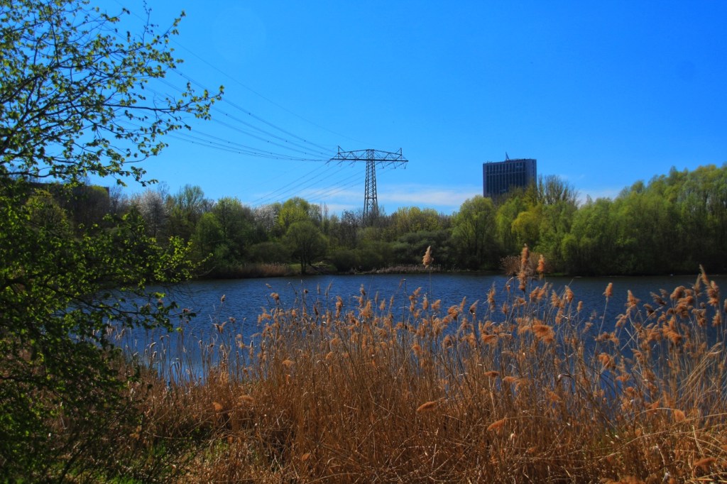 Papenpfuhlbecken