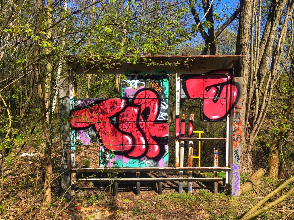 Überrast Bahn im Biesenhorster Sand