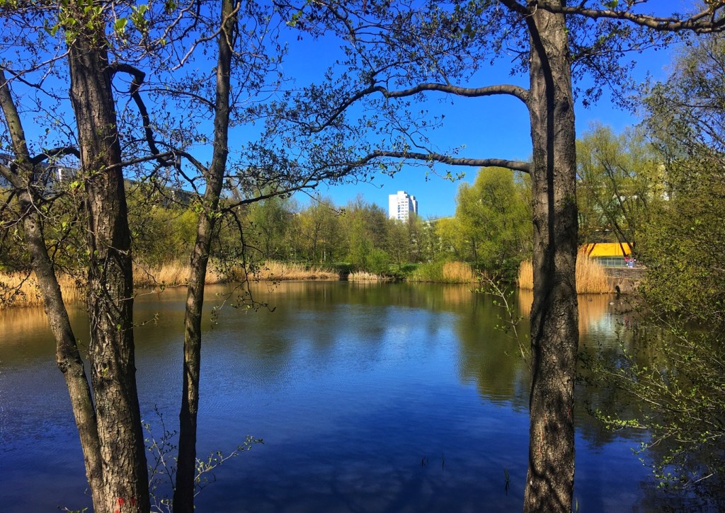 Springpfuhl