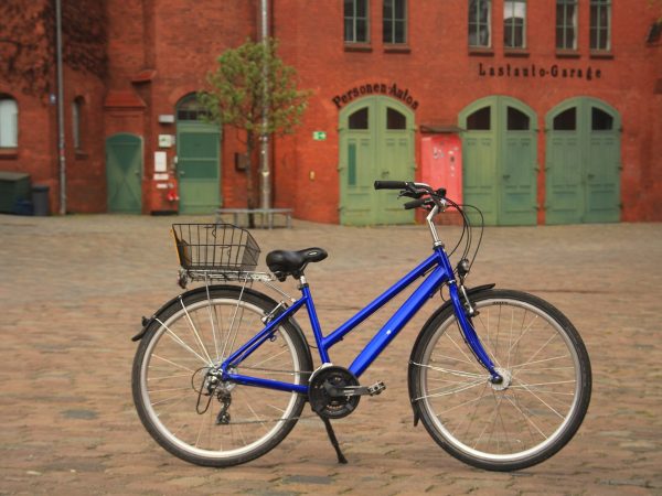 Trekkingrad 24-Gang Unisex blau
