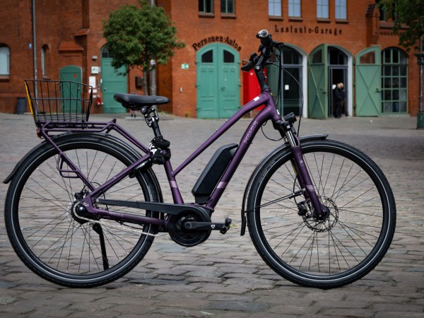 Unisex E-Bike Pegasus