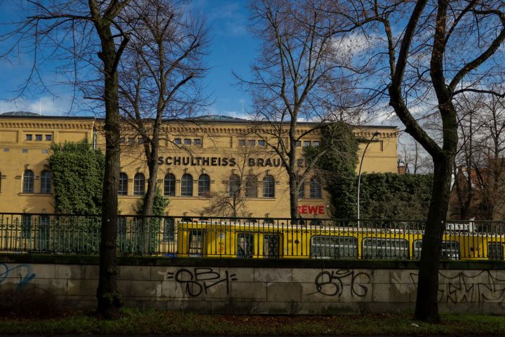 a tree in front of a building