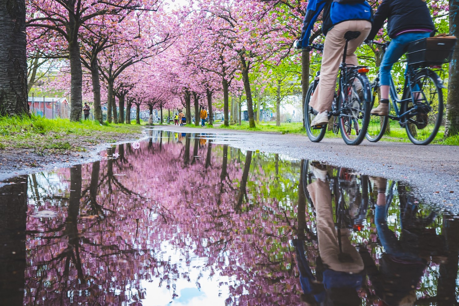 a man riding on the back of a bicycle