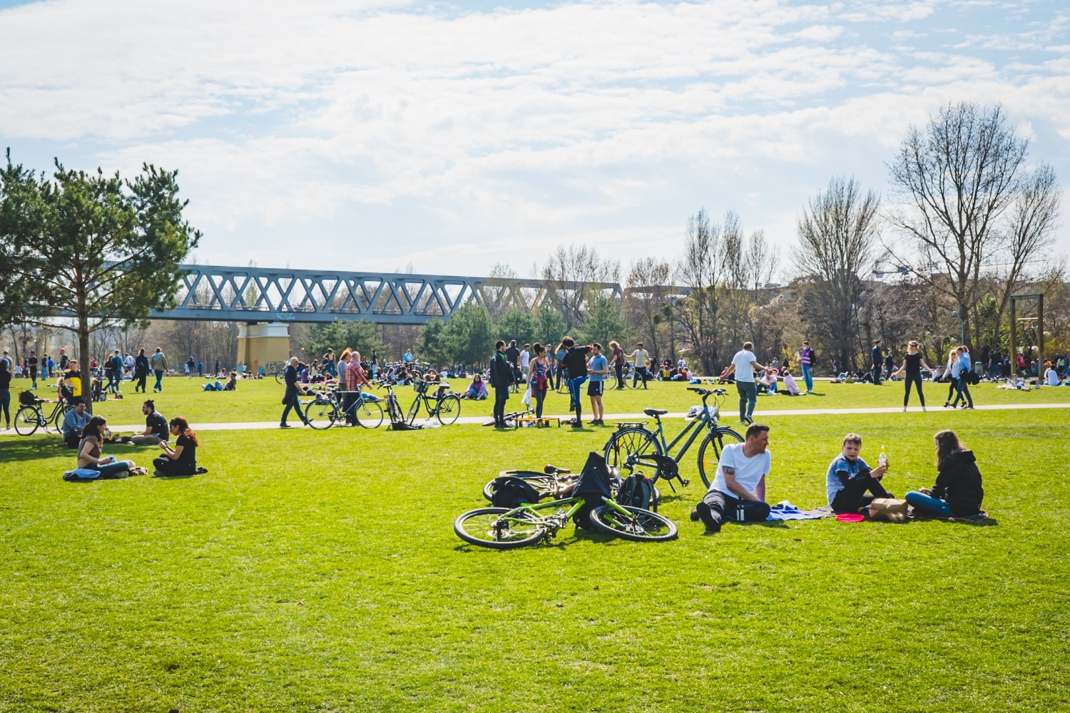 a group of people sitting in a grassy field