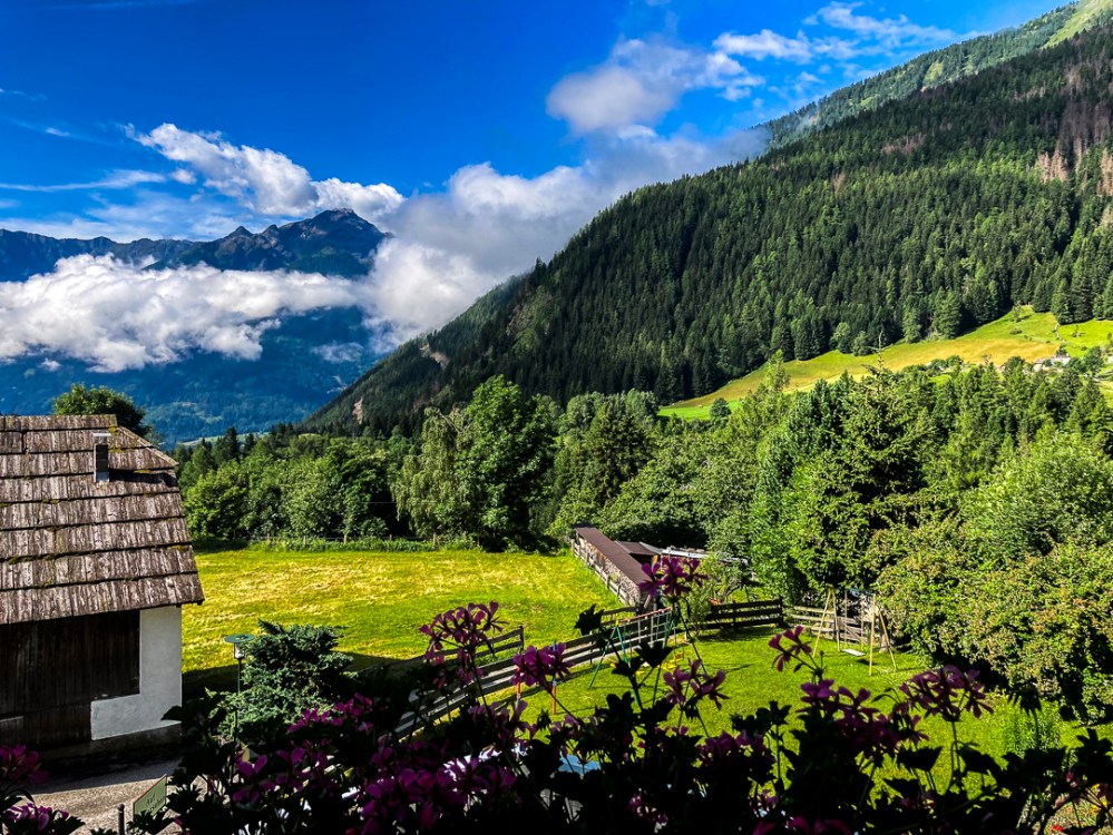 Bergansicht mit Wiese