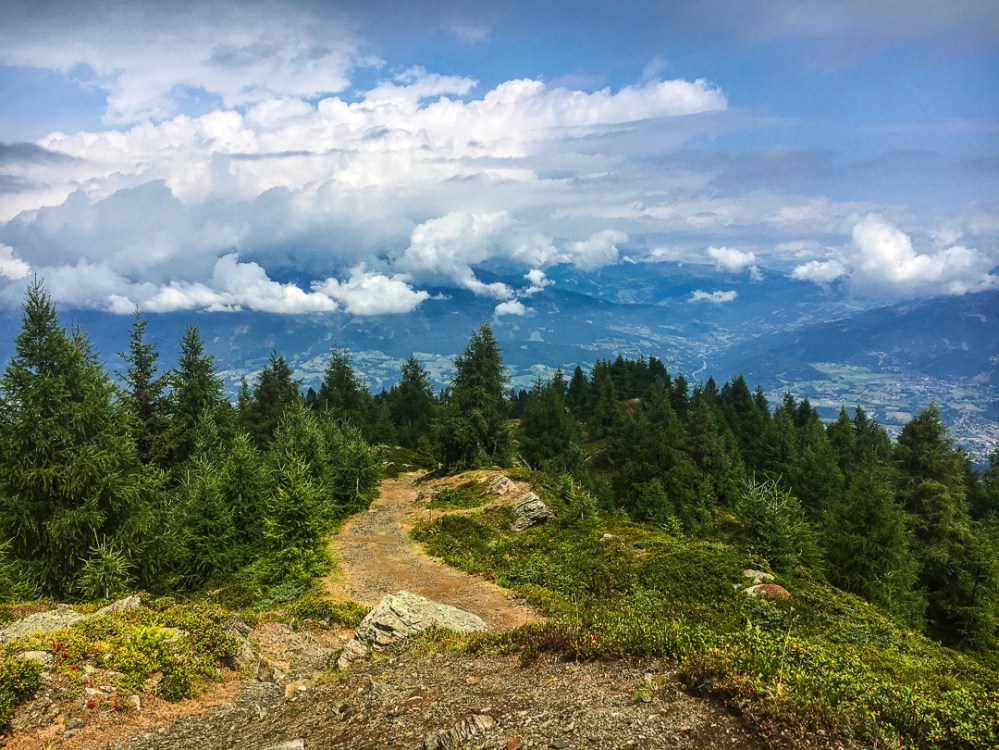 a tree with a mountain in the background